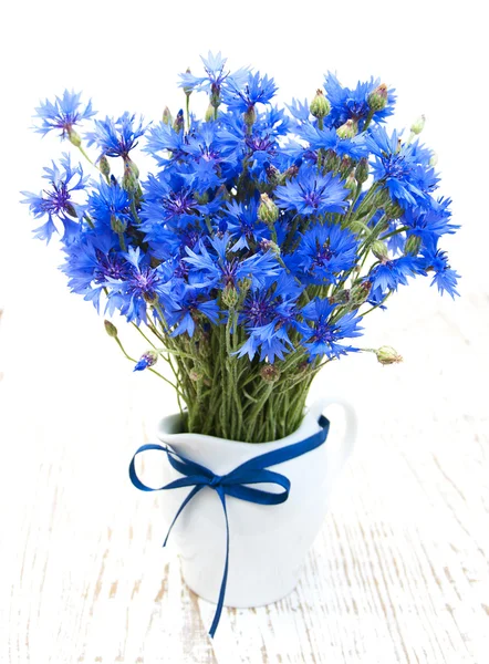 Korenbloemen — Stockfoto