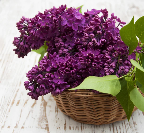 Summer lilac flowers in basket — Stock Photo, Image