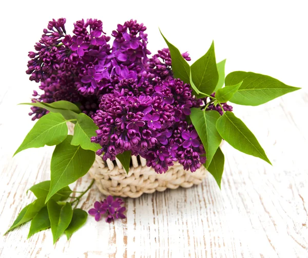 Fleurs lilas d'été dans le panier — Photo