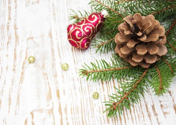 Pine cone — Stock Photo, Image