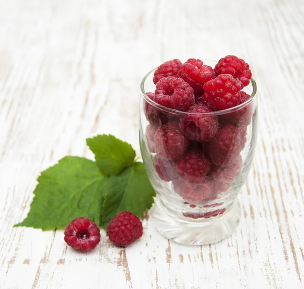 Raspberry — Stock Photo, Image