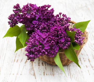 Yaz Eflatun çiçek sepeti