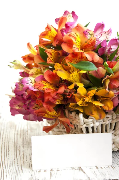 Alstroemeria bloemen — Stockfoto