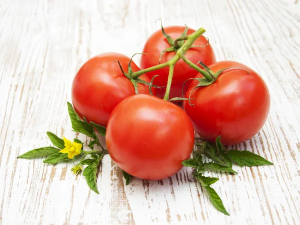 Tomates — Foto de Stock