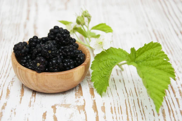 Bowl of Blackberries — Stock Photo, Image