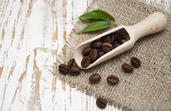 Coffee beans — Stock Photo, Image