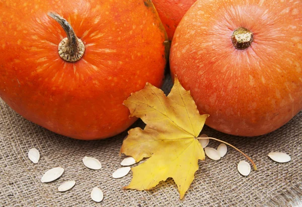 Herfst decoratie — Stockfoto