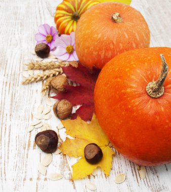 sonbahar dekorasyonu