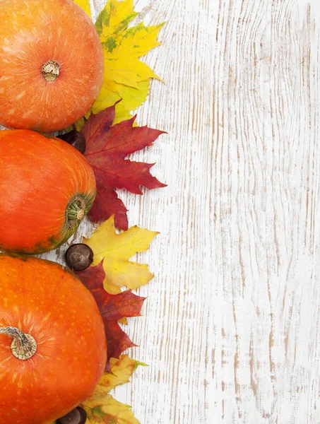 Herfst decoratie — Stockfoto