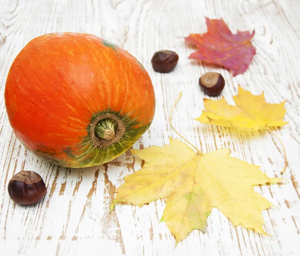 Decoración de otoño — Foto de Stock