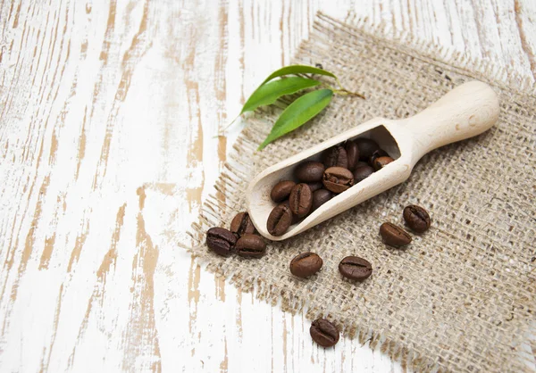 Coffee beans — Stock Photo, Image