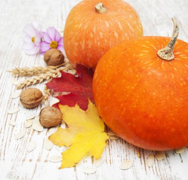 sonbahar dekorasyonu