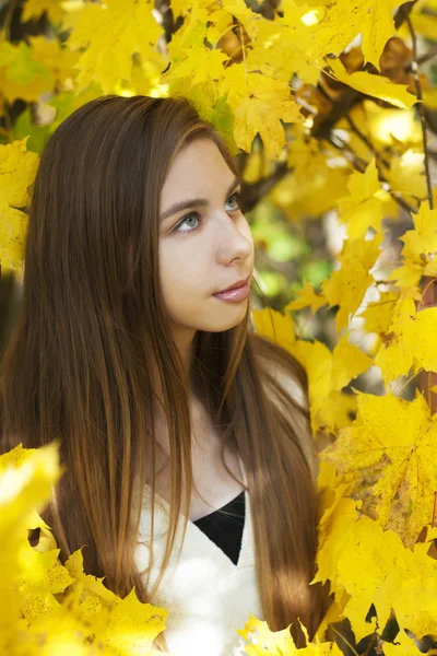Portrait in autumn park — Stock Photo, Image