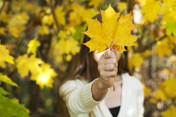 Young girl holding a fallen leaf — Stock Photo, Image