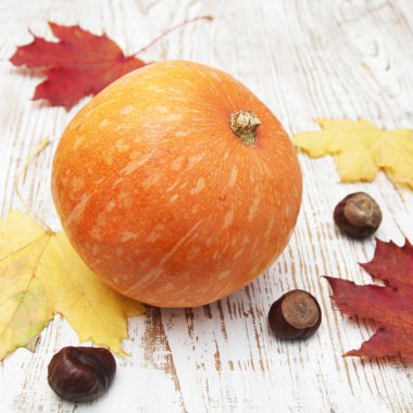 sonbahar dekorasyonu