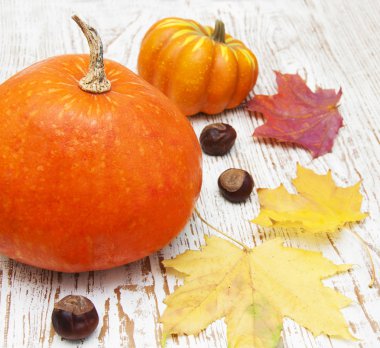 sonbahar dekorasyonu