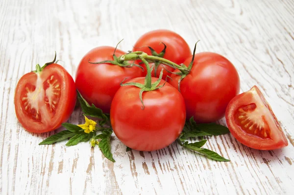 Tomaten — Stockfoto