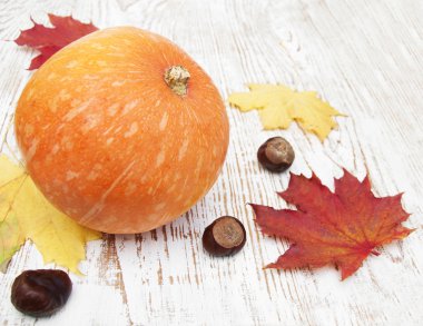 sonbahar dekorasyonu