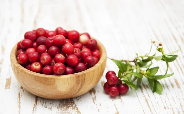 Cranberries — Stock Photo, Image