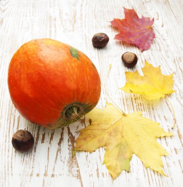 sonbahar dekorasyonu