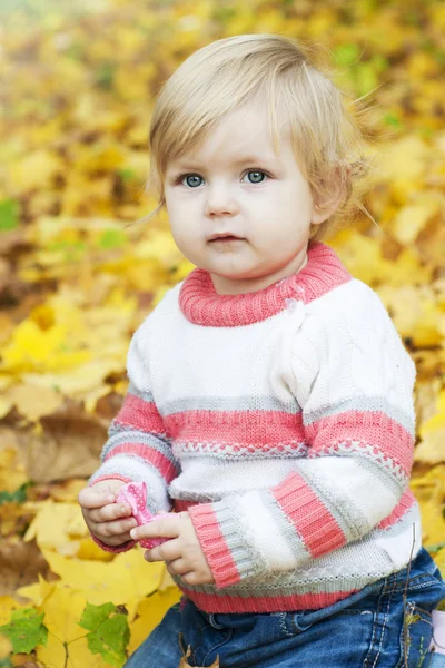 Baby girl with autumn leaves — Stock Photo, Image