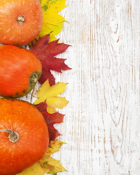 Herfst decoratie — Stockfoto