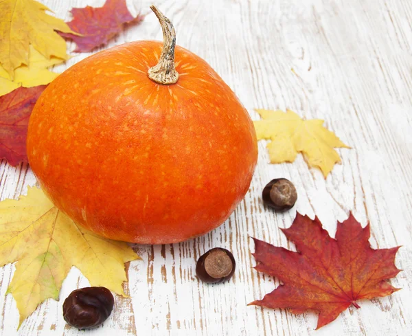 Herfst decoratie — Stockfoto