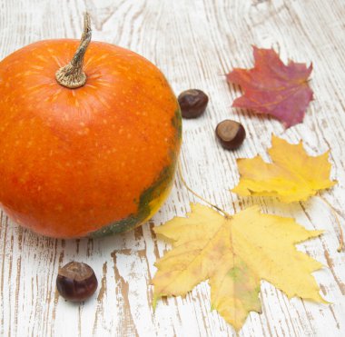 sonbahar dekorasyonu