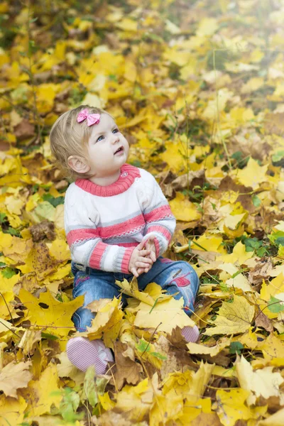 Sonbahar yaprakları ile kız bebek — Stok fotoğraf