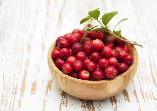 Cranberries — Stock Photo, Image