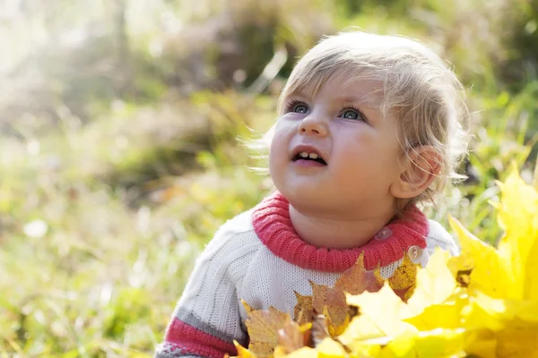 Sonbahar yaprakları ile kız bebek — Stok fotoğraf