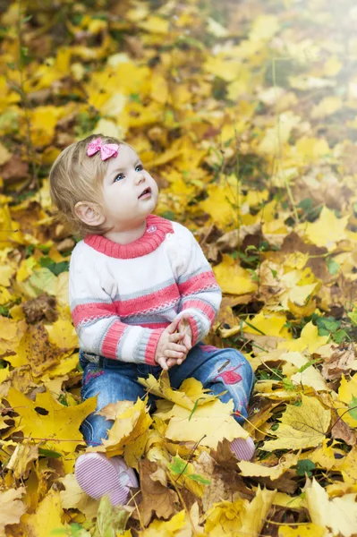 Niña con hojas de otoño —  Fotos de Stock