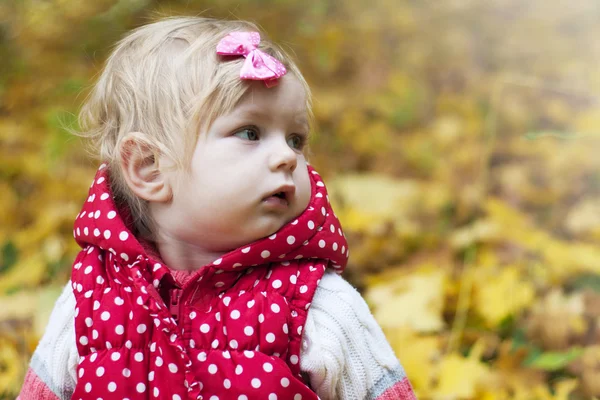 Autumn portrait — Stock Photo, Image