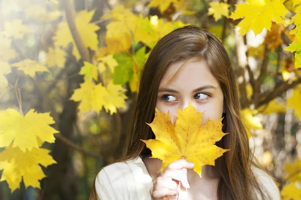 Autumn portrait — Stock Photo, Image