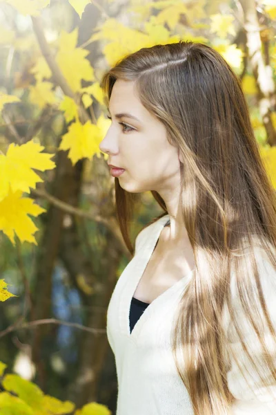 Portrait in autumn park — Stock Photo, Image