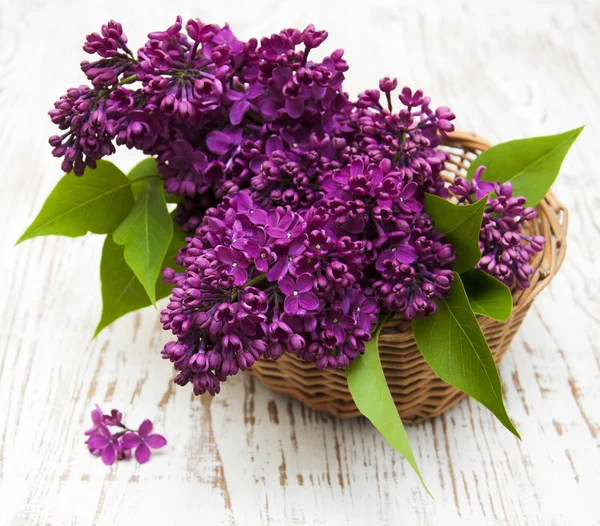 Summer lilac flowers in basket — Stock Photo, Image