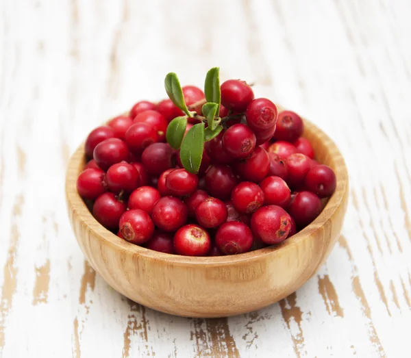 Cranberries — Stock Photo, Image