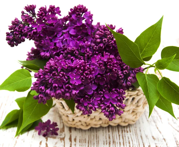 Summer lilac flowers in basket — Stock Photo, Image