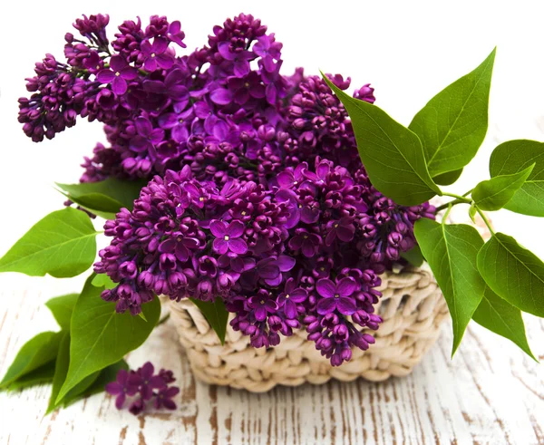 Lila sommarblommor i korg — Stockfoto