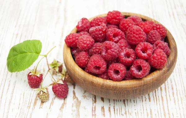 Raspberry — Stock Photo, Image