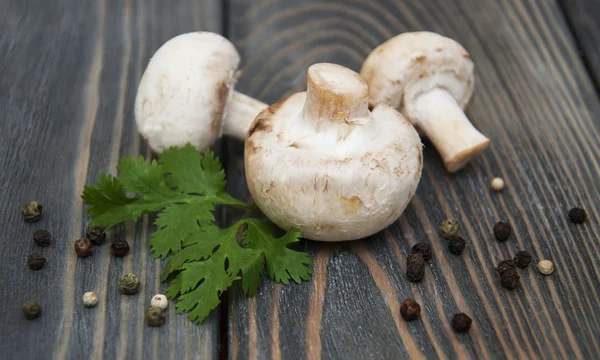 Mushrooms — Stock Photo, Image