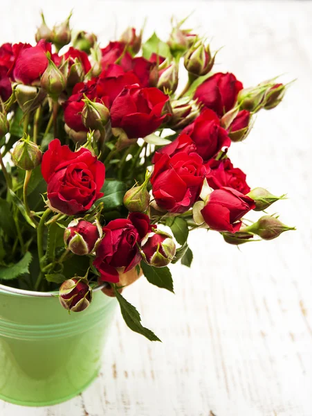 Red roses in bucket — Stock Photo, Image