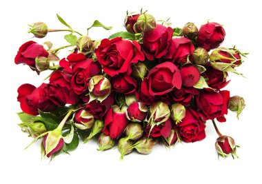 Картина, постер, плакат, фотообои "красные розы черно сирень тюльпаны ретро", артикул 59278967