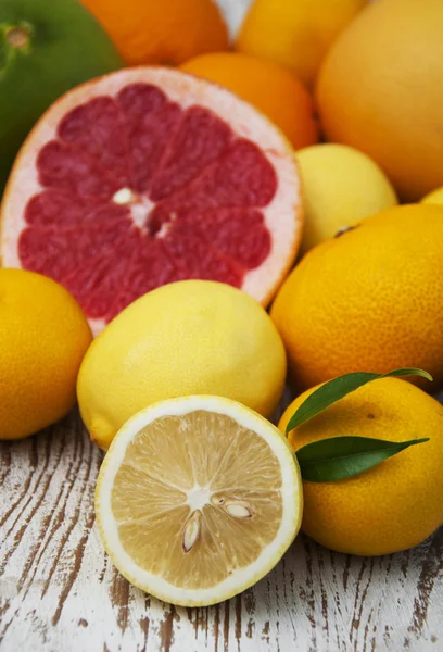 Citrusfrukter — Stockfoto