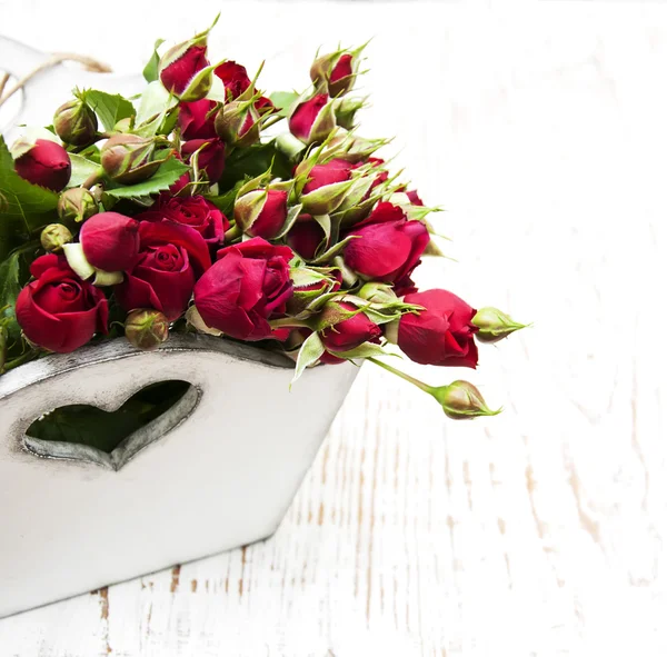 Red roses — Stock Photo, Image