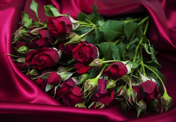 Red roses — Stock Photo, Image