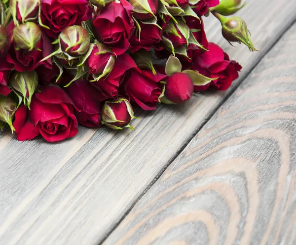 Red roses — Stock Photo, Image