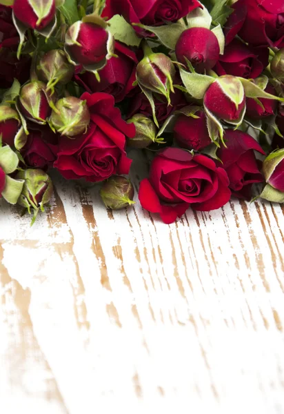 Red roses — Stock Photo, Image