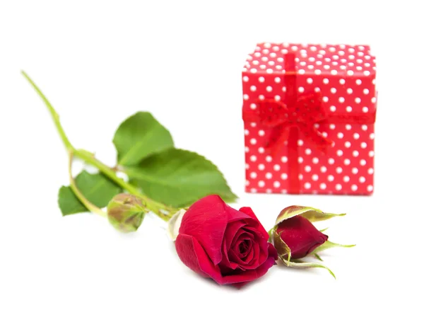 Roses rouges et coffret cadeau — Photo