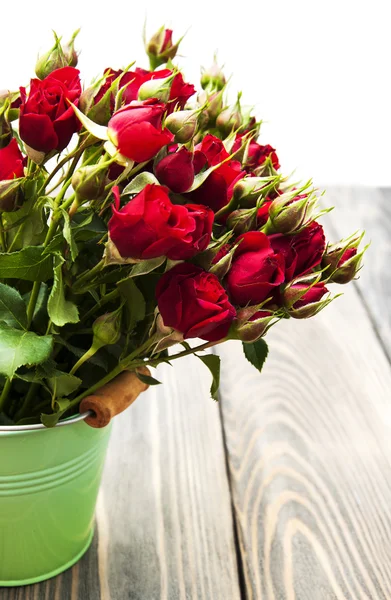 Red roses in bucket — Stock Photo, Image